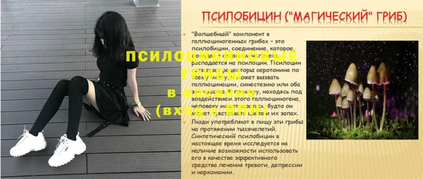 прущие грибы Алексеевка