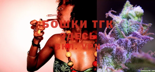тгк Алзамай