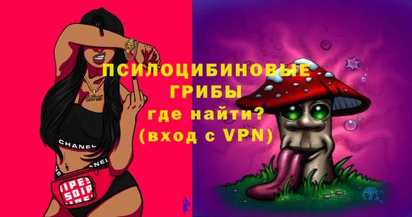 тгк Алзамай