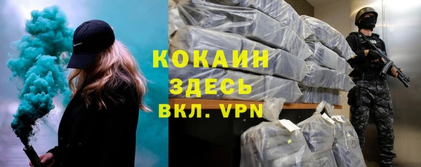 тгк Алзамай