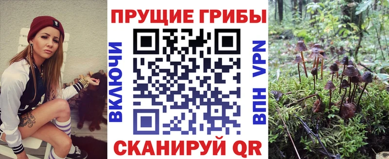 где можно купить наркотик  kraken сайт  Псилоцибиновые грибы MAGIC MUSHROOMS  Калтан 